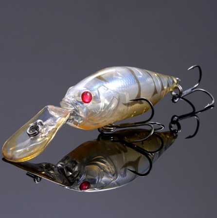 Respect Series 51 - "Red Eye Glass Shrimp"