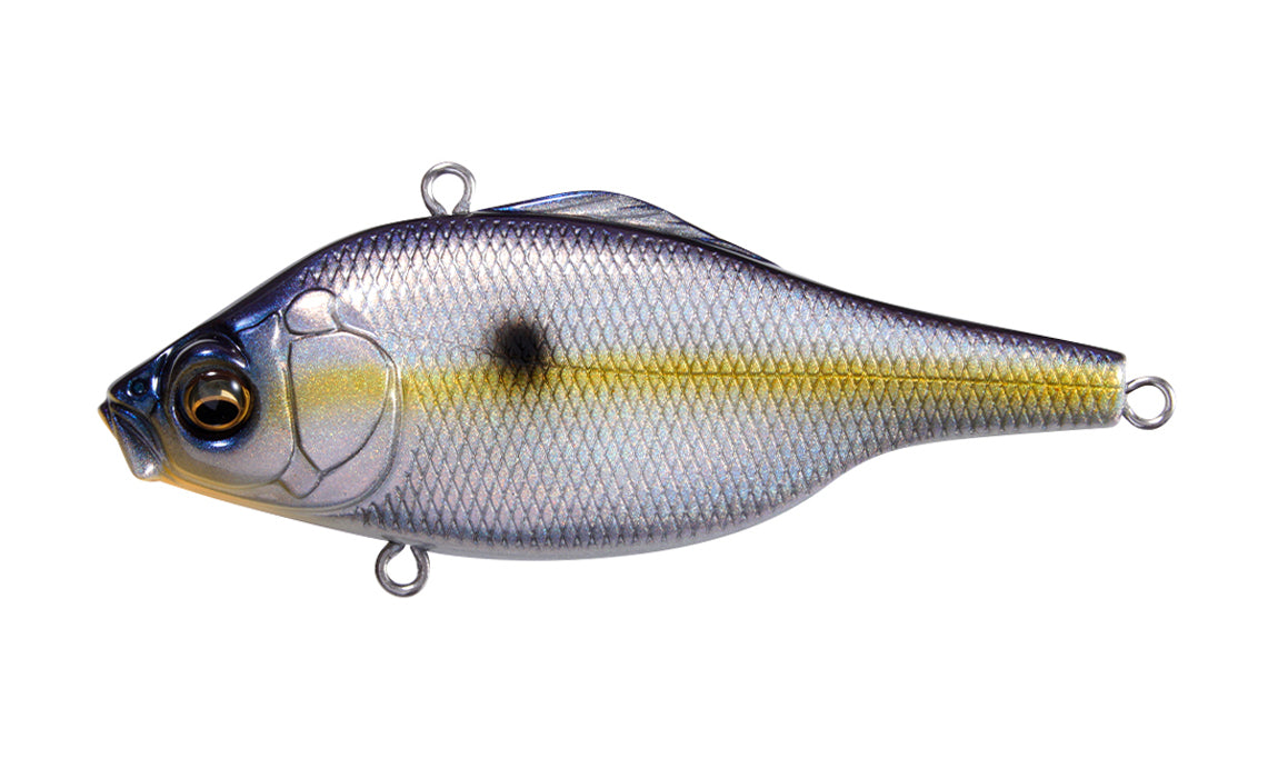 Megabass Sexy Shad (NEW CORE COLOUR)