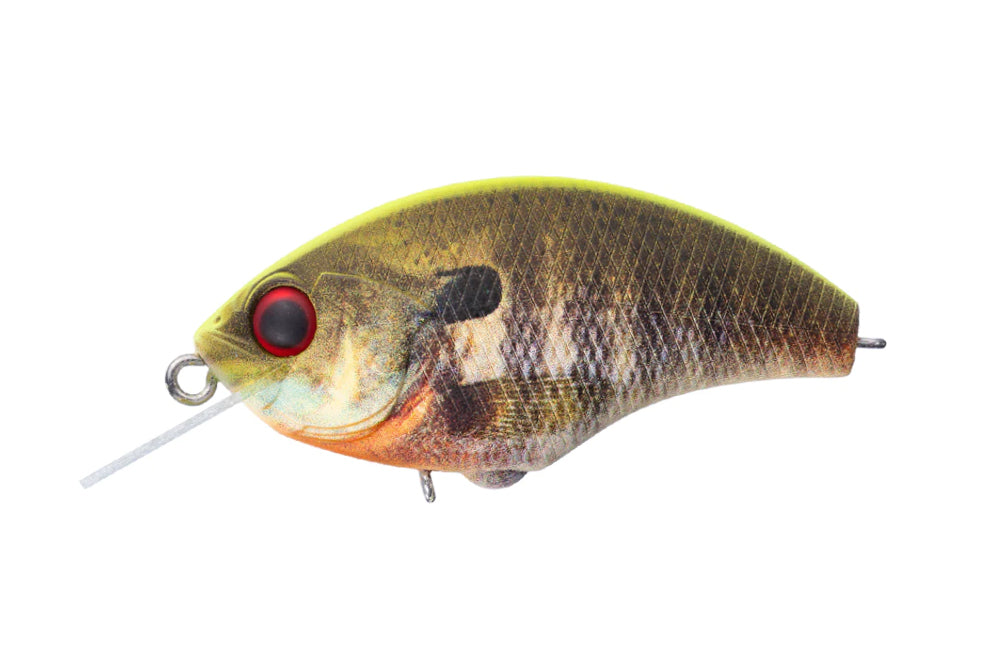 Real Mat Chartreuse Back Gill