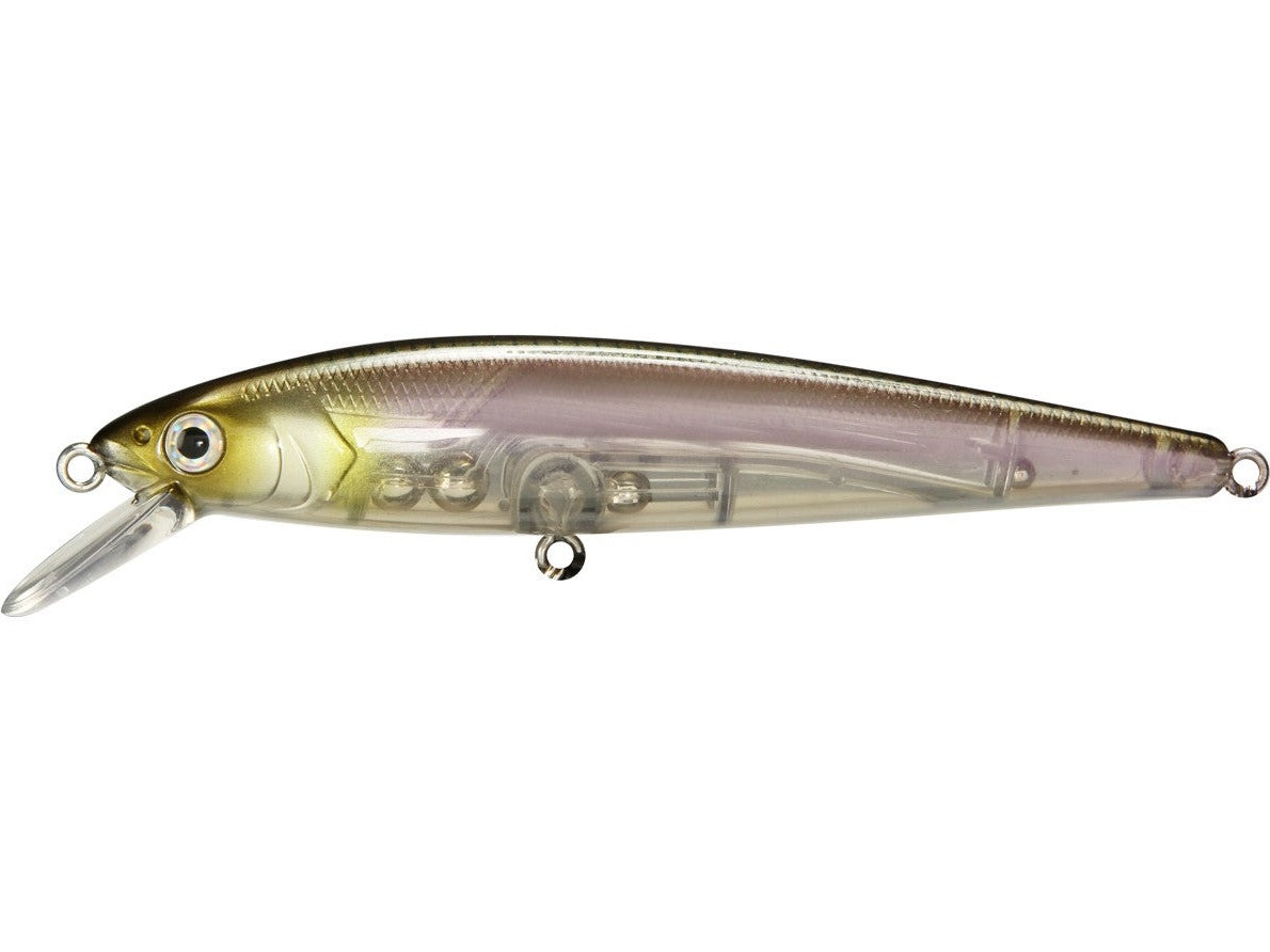 Clearwater Minnow