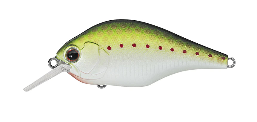 Olive Copper Shad