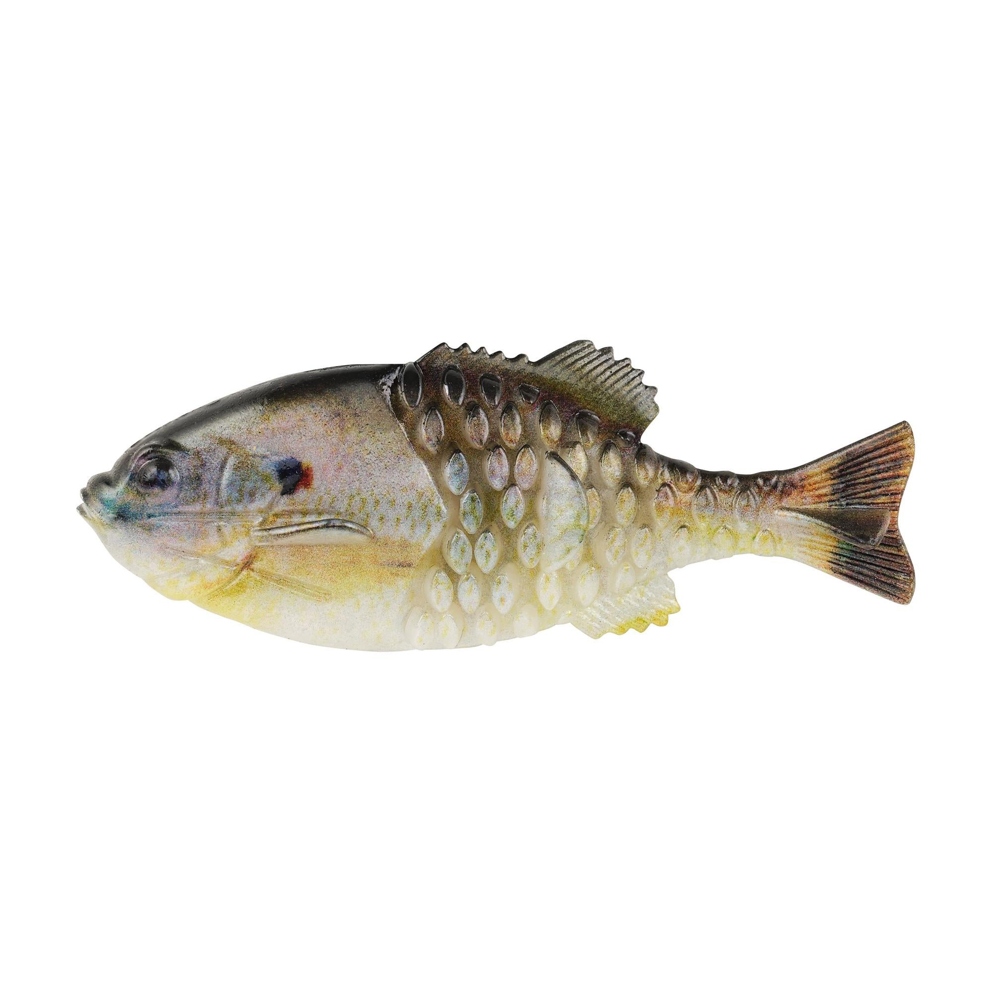 HD Sunfish