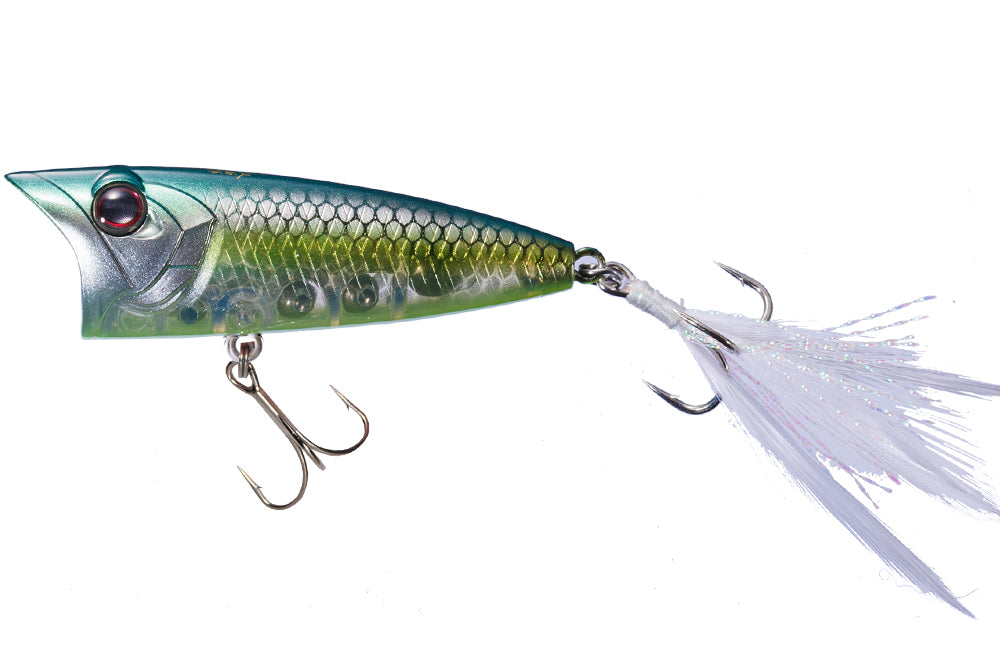 GS Jade Shad Chart Belly GG64
