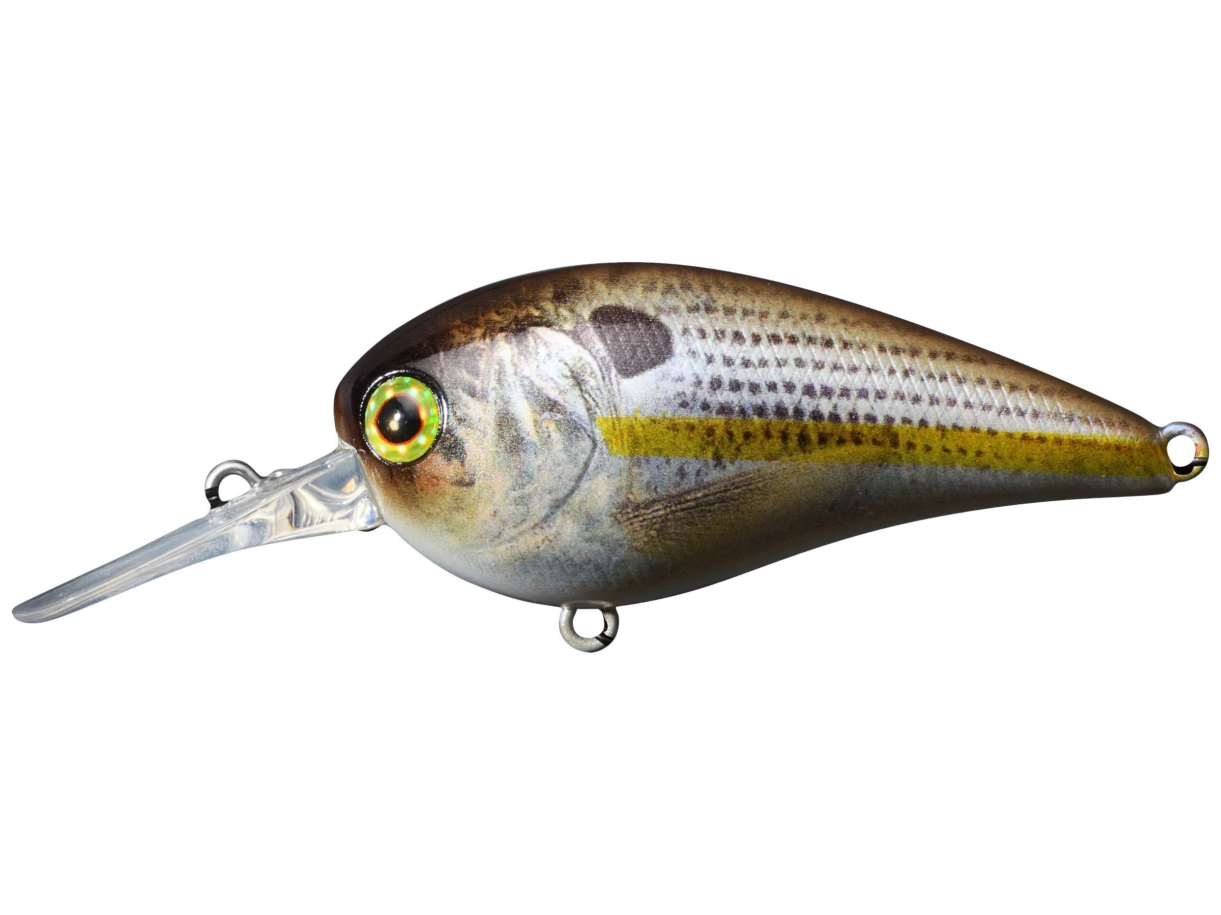 RT Chartreuse Shad